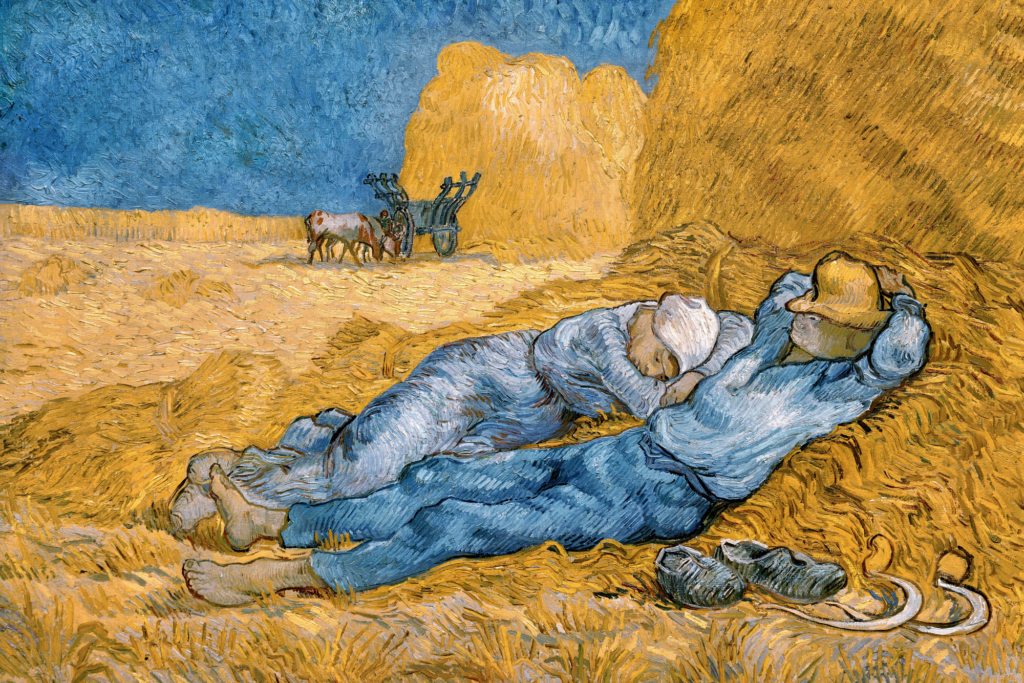 The Siesta